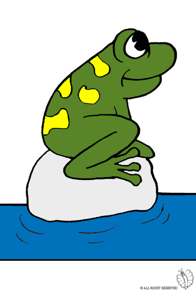 disegno di Rospo a colori