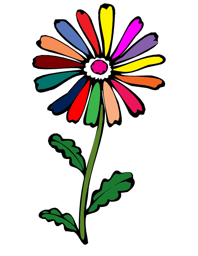 disegno di Fiore Margherita a colori