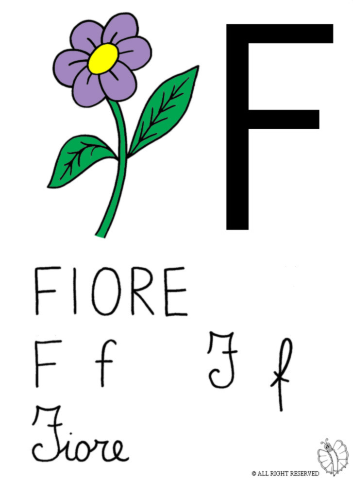 disegno di Lettera F di Fiore a colori