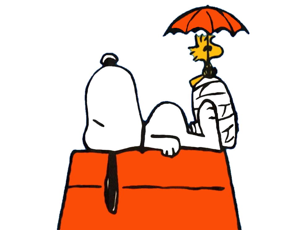 disegno di Snoopy sulla Casetta a colori