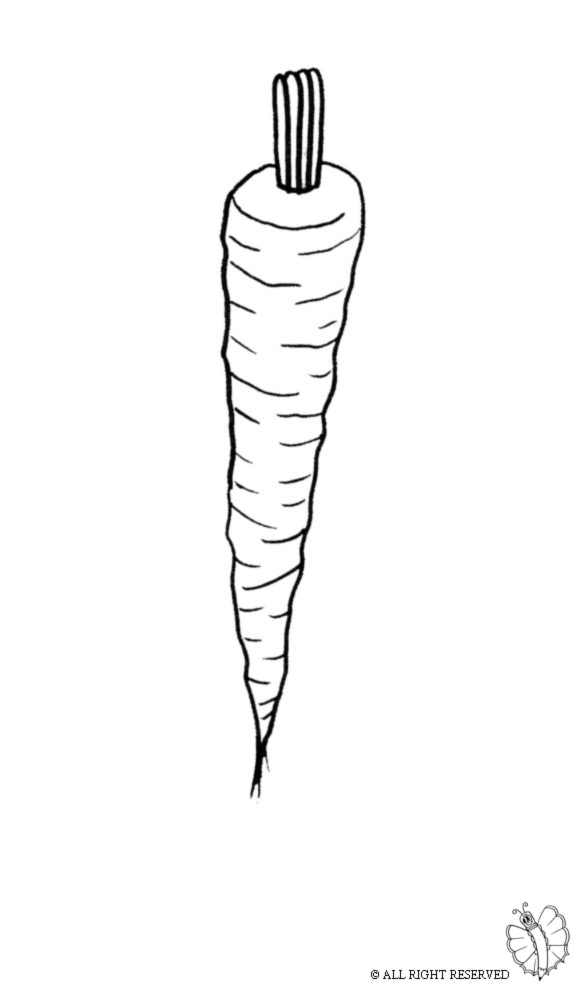 disegno di Carota da colorare